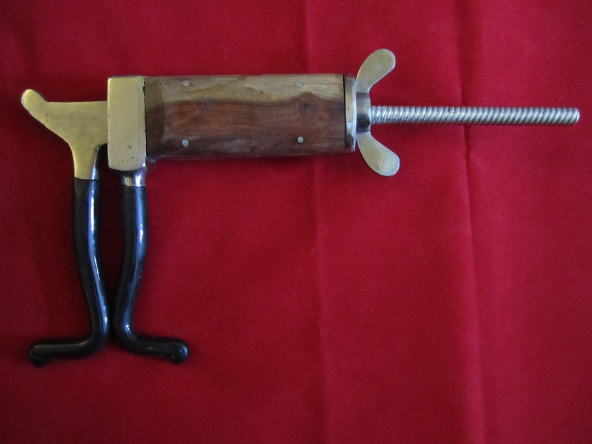 Varnell Horse Mouth Gag Stainless steel speculum Equestrian Veterinary